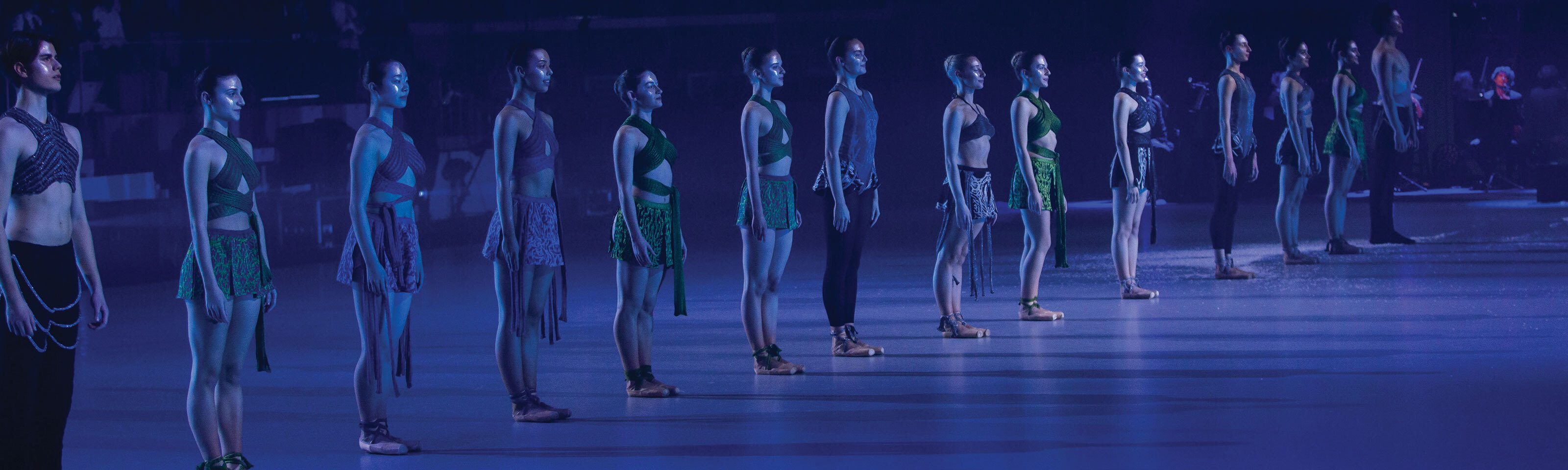 Una fila di ballerini in abiti di scena durante una performance notturna